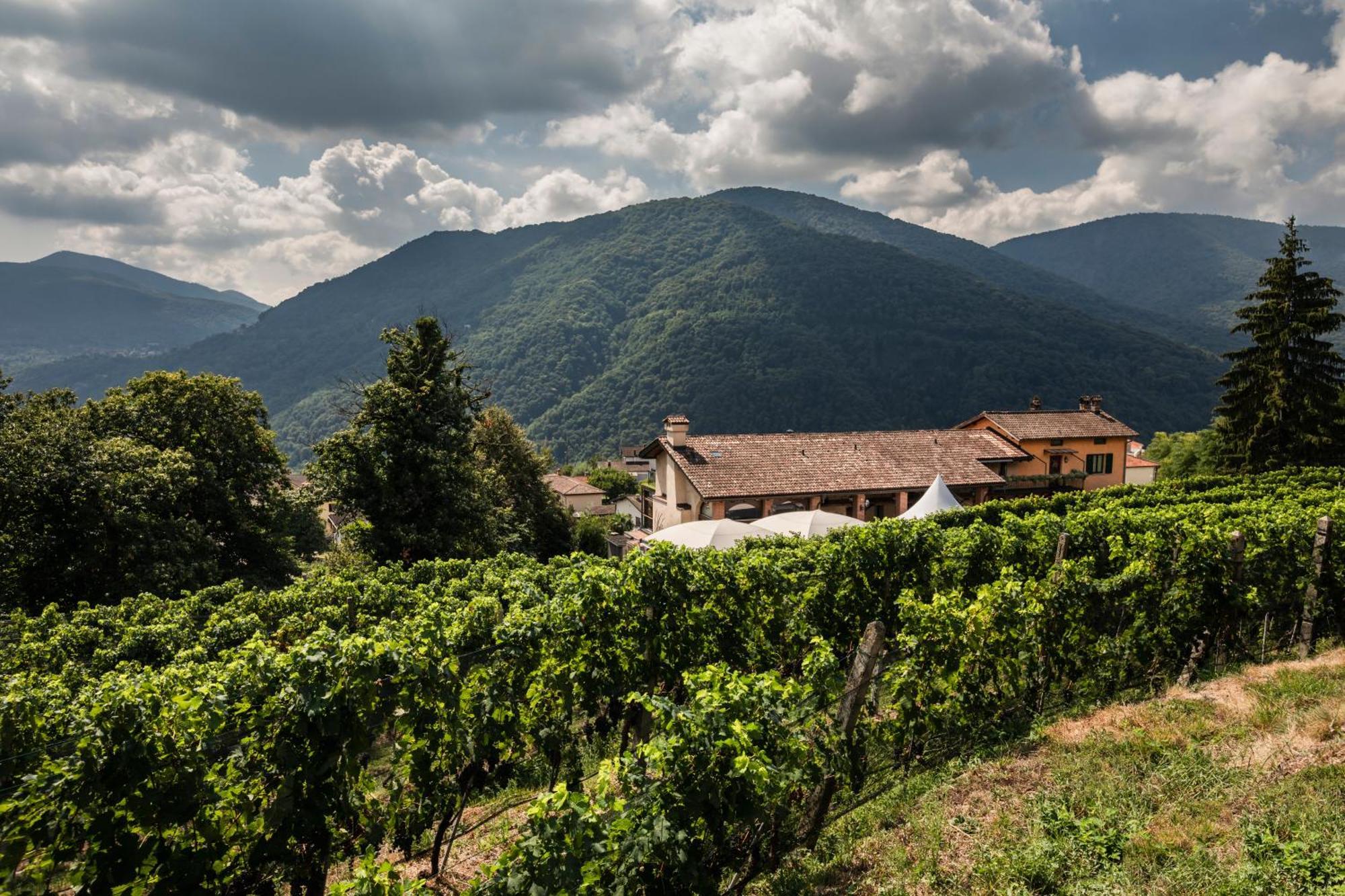 Wine & Art Relais Vallombrosa Castelrotto Exterior photo