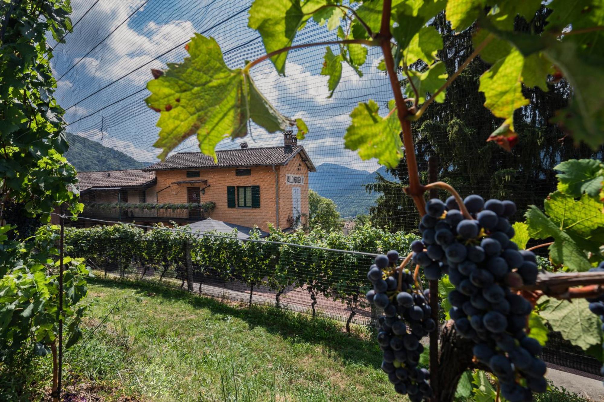 Wine & Art Relais Vallombrosa Castelrotto Exterior photo